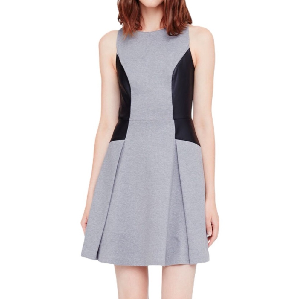 Club Monaco Gray and Black Mini Dress